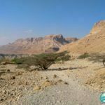 Park Narodowy Ein Gedi Izrael