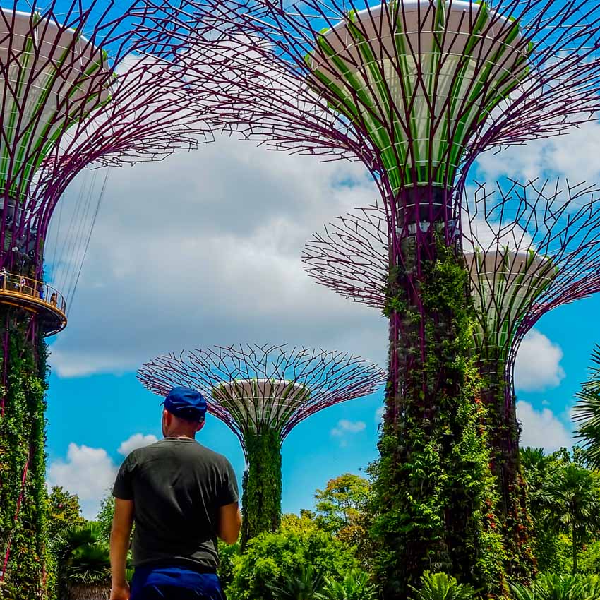 Gardens by the Bay